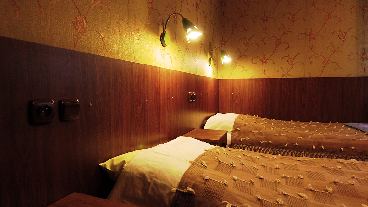 szkółka rośliny krzewy liściaste iglaste szczepione pienne ozdobne iglaki Polska