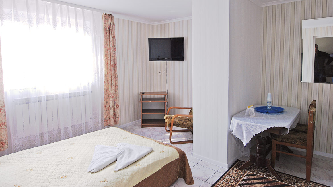 szkółka rośliny krzewy liściaste iglaste szczepione pienne ozdobne iglaki Polska