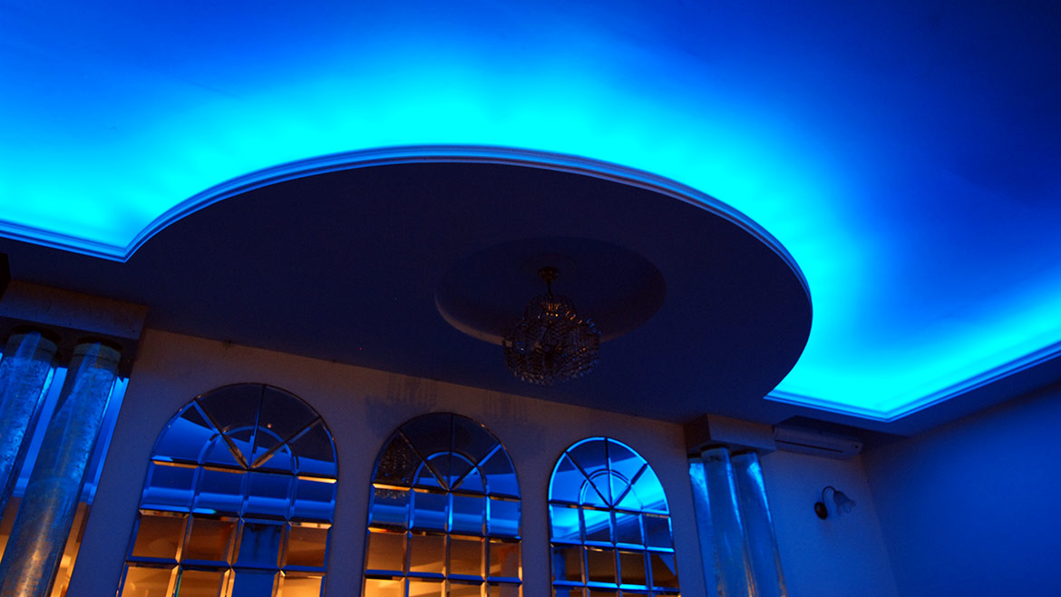 szkółka rośliny krzewy liściaste iglaste szczepione pienne ozdobne iglaki Polska